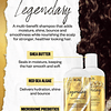 Shampoo para el cabello LEGENDARY Dream | Saludable + Hidrat