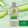 Organic Doctor Aloe Vera, Shampoo, 9 onzas líquidas