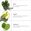 Superfoods Kale + Acondicionador reponedor de manzana, apoya