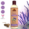 BIEN | Shampoo de lavanda y aceite de ricino jamaicano negro