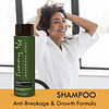 Shampoo Rosemary Mint para cabello y raíces fuertes, 12 oz |