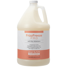 Salon Formula FrizzFreeze Pro Shampoo anti-frizz para cabell