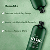 Shampoo Tea Tree, vitamina C, menta, lavanda y aceite de rom