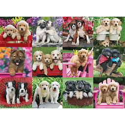 Puppy Pals Rompecabezas de 500 piezas para adultos 12000196