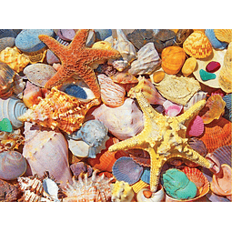 Puzzles Conchas de playa Rompecabezas de 500 piezas