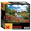 Kodak Premium Hunsett Mill y The River Ant, Norfolk, Inglate