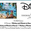 Thomas Kinkade Colección Disney Dreams Mickey y Minnie en Ha