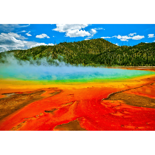 Paquete de rompecabezas del Parque Nacional de Yellowstone D