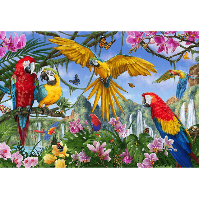 Rompecabezas de pájaros tropicales – Rompecabezas de pájaros