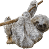 Puzzles Jr. I AM Lil' Sloth 100 piezas Rompecabezas con form