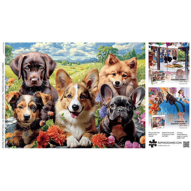 Image World Pup Perfection Rompecabezas de 750 piezas para a