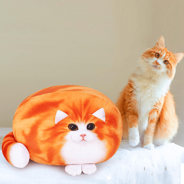 Peluche de gato, animales de peluche de gato suave, juguetes