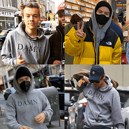 Poleron gris canguro inspirado en Harry Styles “DAMN”