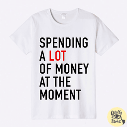 “Spending a LOT of money at the moment” / T-S