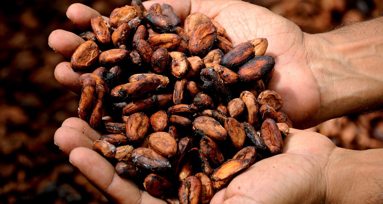 Benefits of cocoa powder