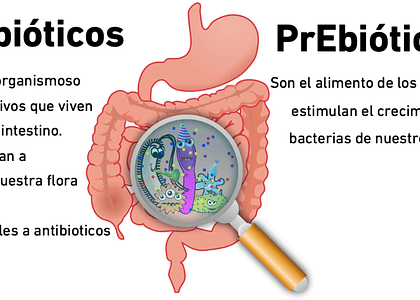 Prebiotics or Probiotics
