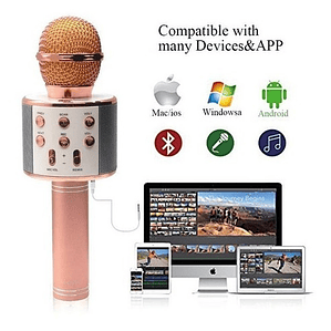 Microfono Parlante Karaoke Inalambrico Bluetooth 