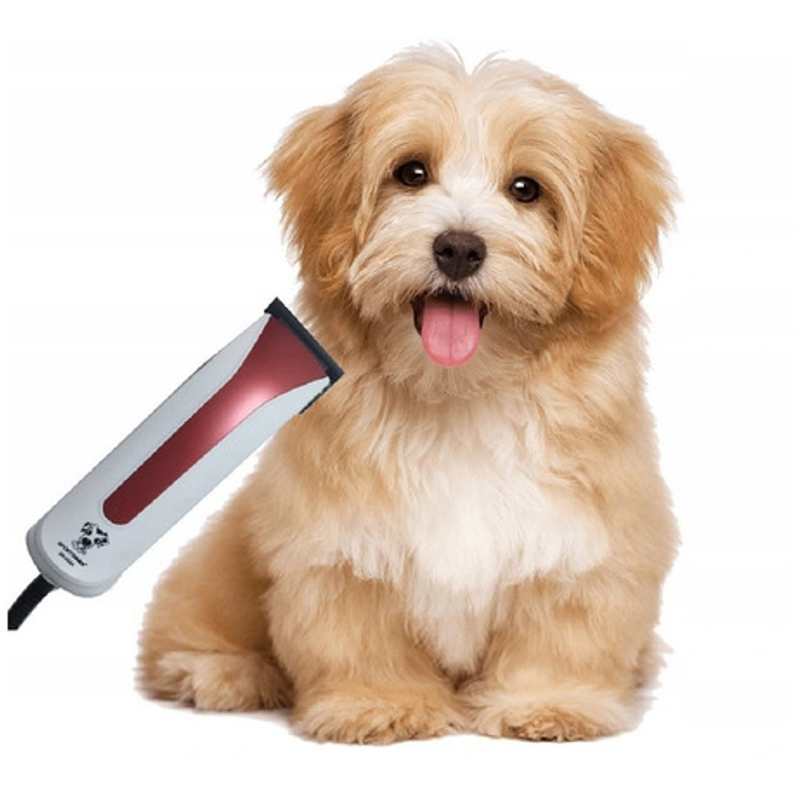Máquina Cortadora Pelo Mascotas Perros / Waos 4