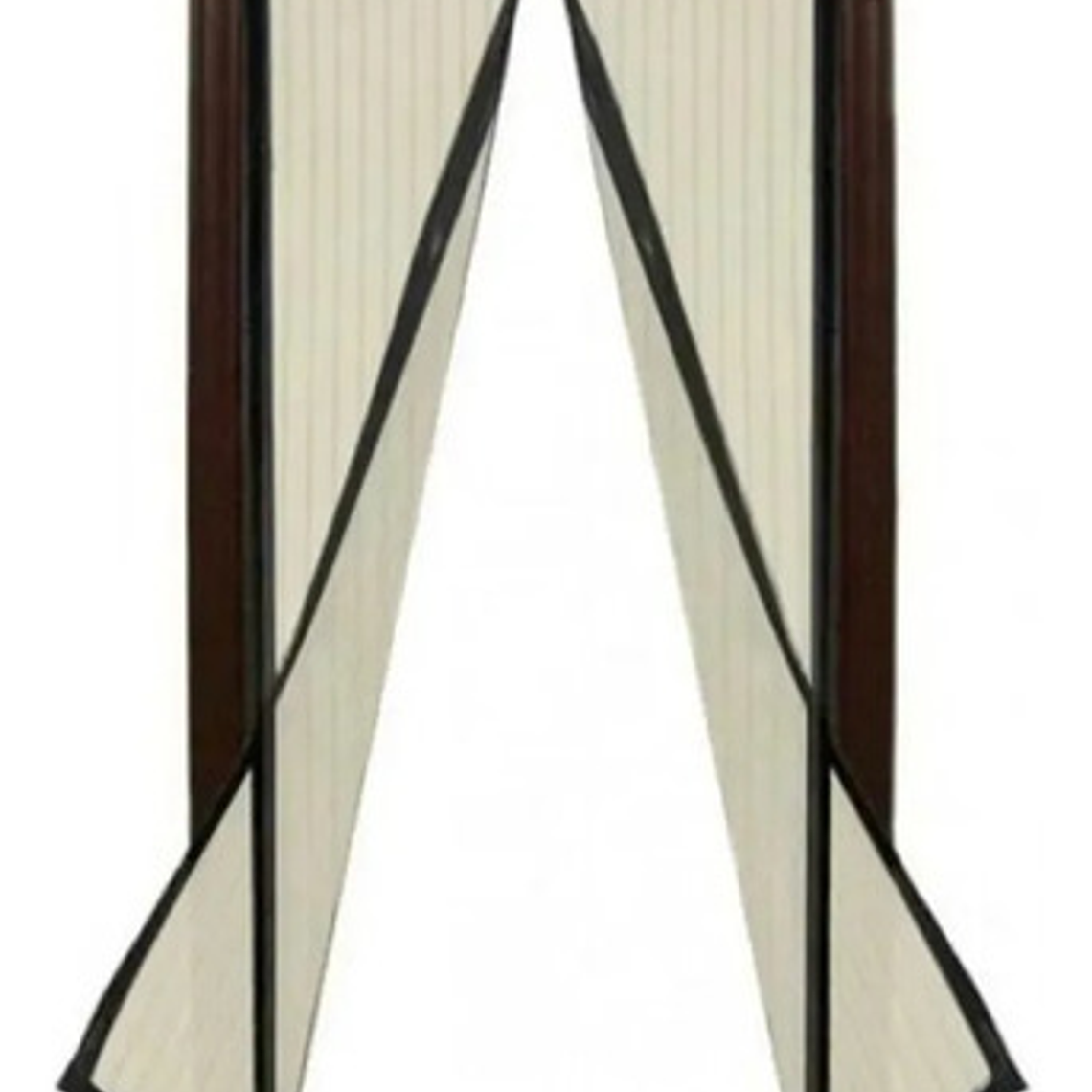 Cortina Puerta A Prueba De Mosquito Ofertas Claras 100069 Color Negro 4