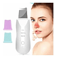 Limpiador Depurador Facial Ultrasónico Paleta/waoscl - Miniatura 1