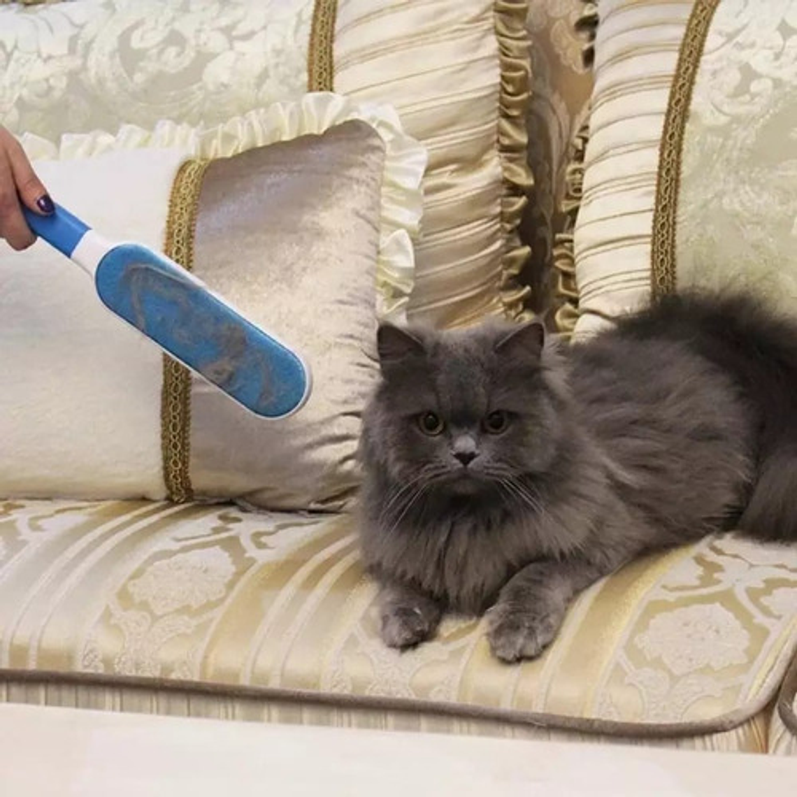 Cepillo Quita Pelos De Mascota Saca Pelusas Sillon Ropa 9