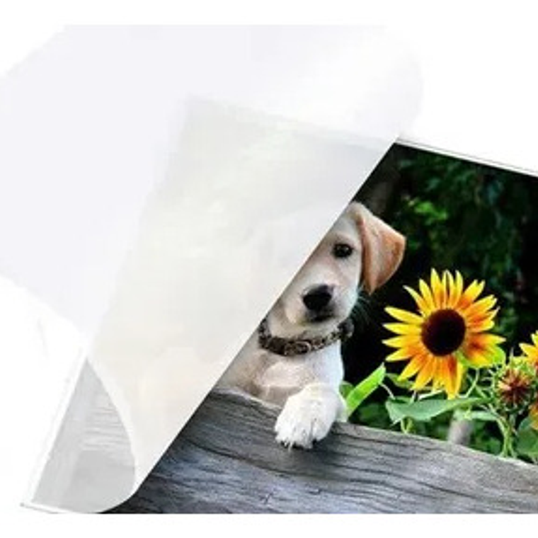 Pack 100 Micas Laminas Termolaminado Tamaño A4 Espesor 80 4