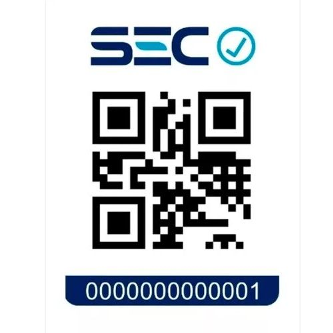 Tren de Navidad 50CM 4