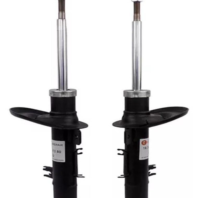 Amortiguadores Par Peugeot 208 del 2013- 2020 Americanos 1