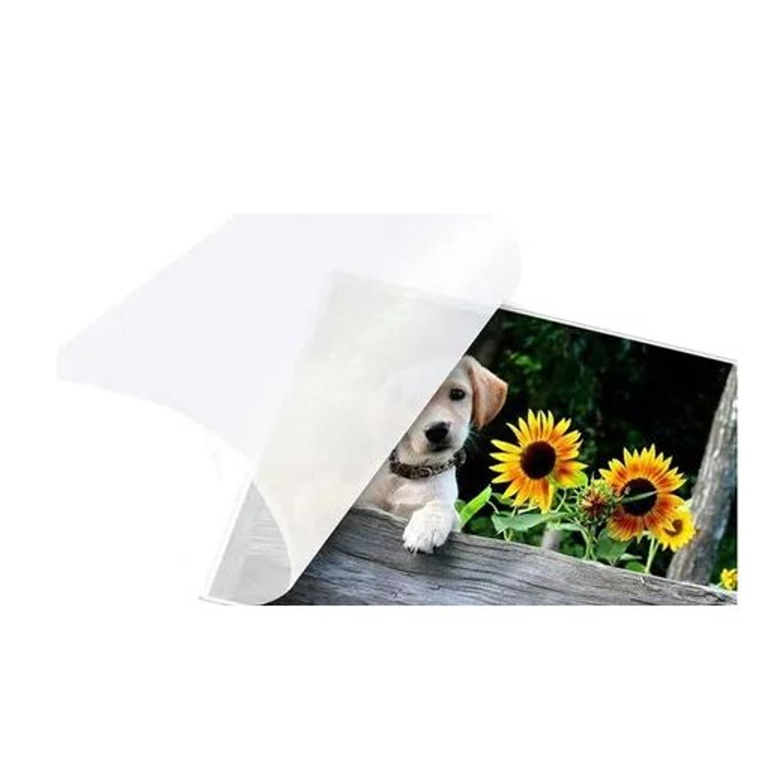 Pack 100 Micas Laminas Termolaminado Tamaño A4 Espesor 80 4