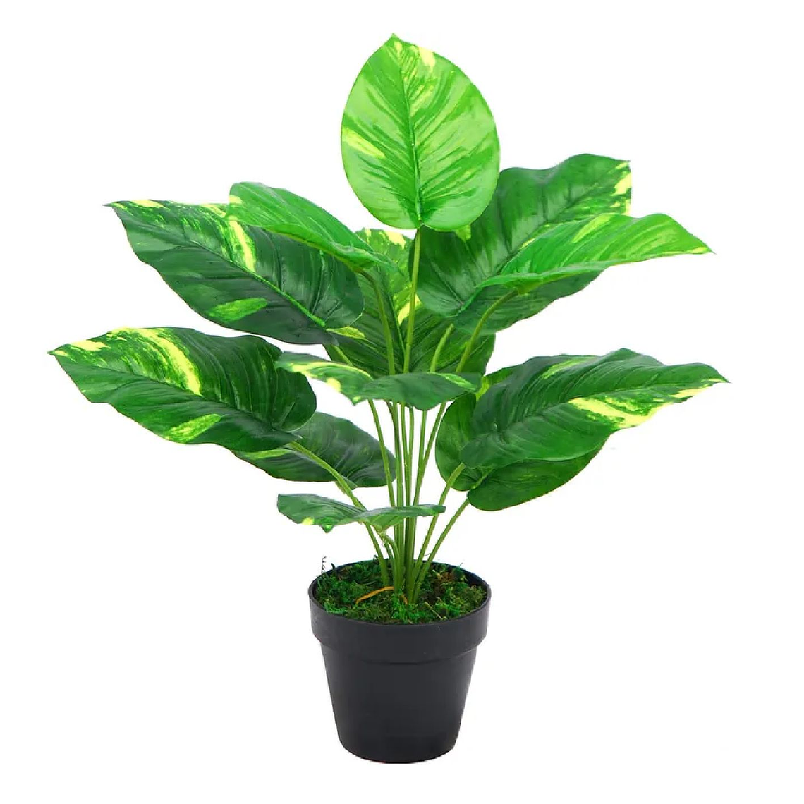 Planta Artificial Aureus 12 Hojas 45 cm 1