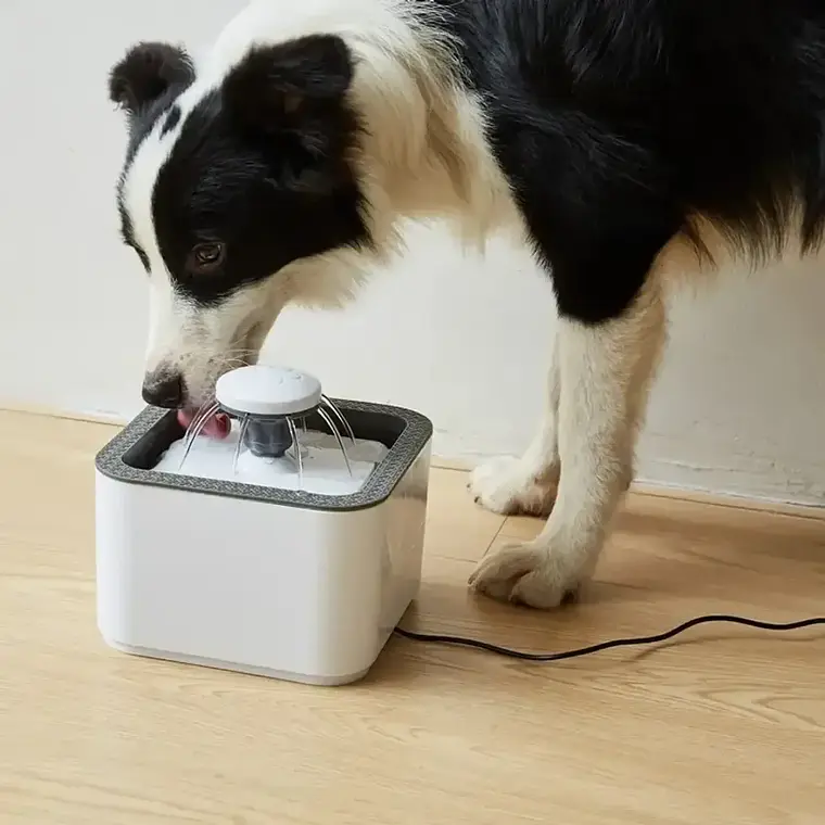 Fuente De Agua Mascotas Perros Gatos 2.5 Litros Automática 3