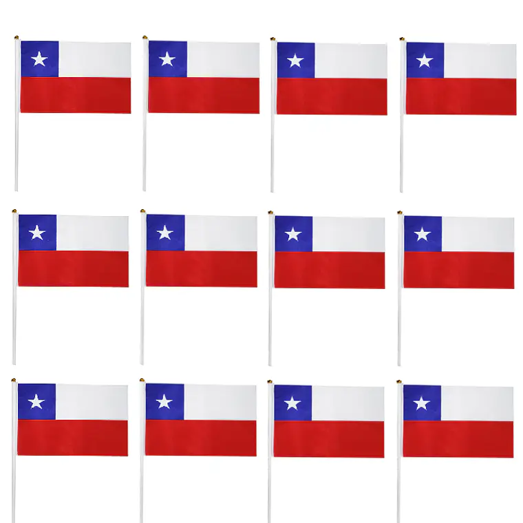 Bandera de Chile diferentes tamaños 12 piezas 2