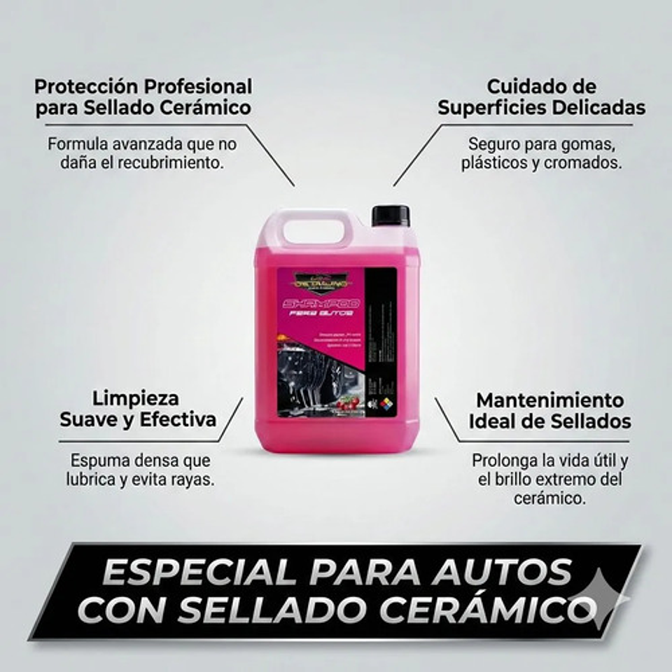 Shampoo Auto Espuma Activa Ph Neutro Black Cars Snow Foam 2