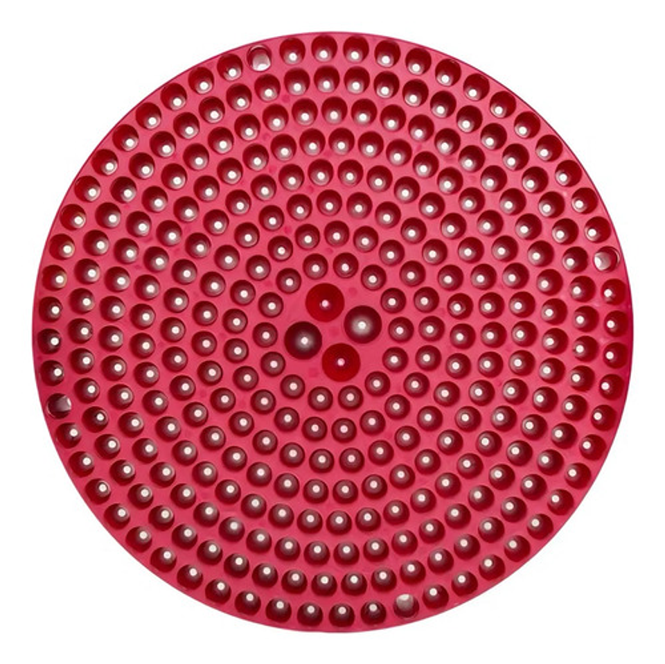 Rejilla Filtro Separador Partículas Balde Chemical Guys 2