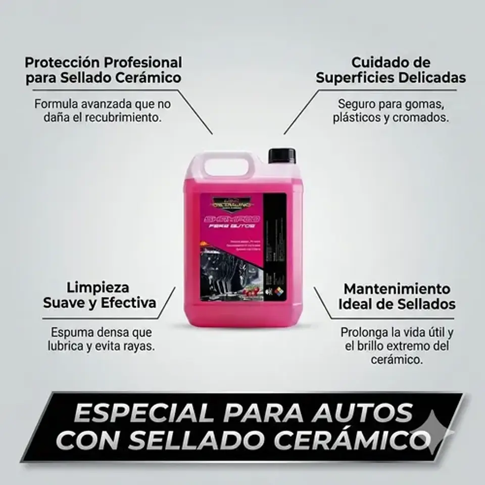 Shampoo Auto Black Cars Snow Foam 5