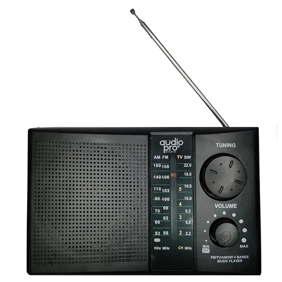 Radio recargable portátil Audio Pro (AM, FM, SW - USB, SD, Batería) - AP02042 1