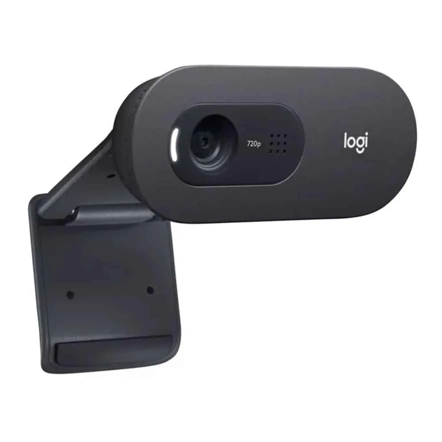 Webcam USB Logitech C505 (720p HD, 30fps, Micrófono, Mac-PC) 3