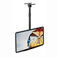Soporte de TV para techo ajustable e inclinable 32