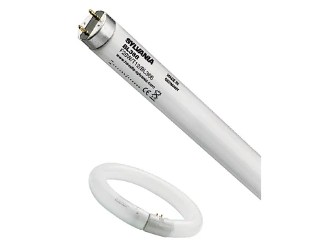 Lâmpada anti-insetos FC22W T9 BL368 Blacklight BL368 Circular Sylvania