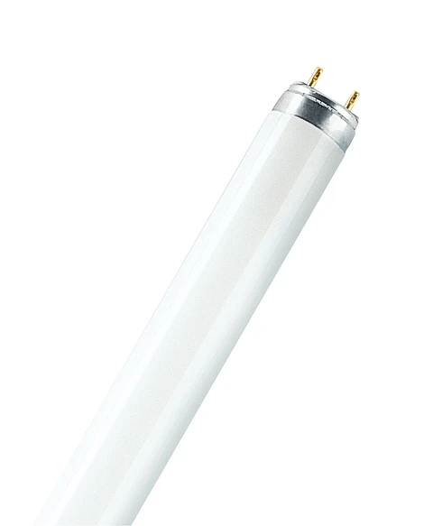 Lâmpada fluorescente Lumilux T8 L 18W Ledvance
