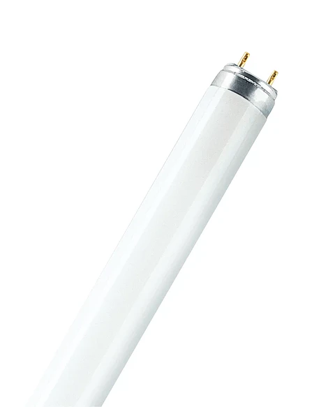 Lâmpada fluorescente Lumilux T8 L 58W Ledvance