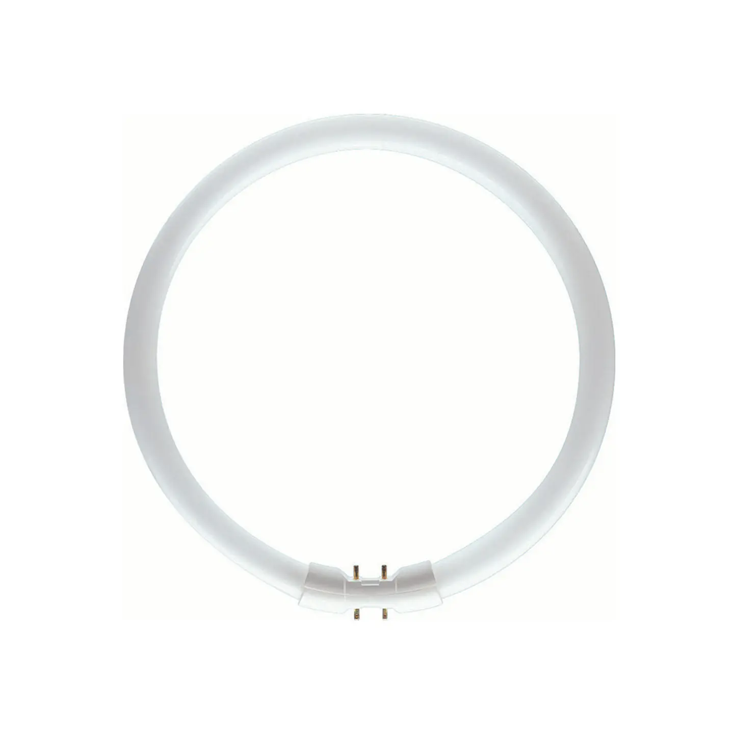 Lâmpada TL5 circular 22W 840 1CT/10 Philips 1