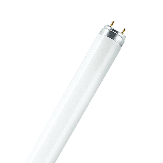 Lâmpada fluorescente Lumilux de LUXE L 18W 965 Osram