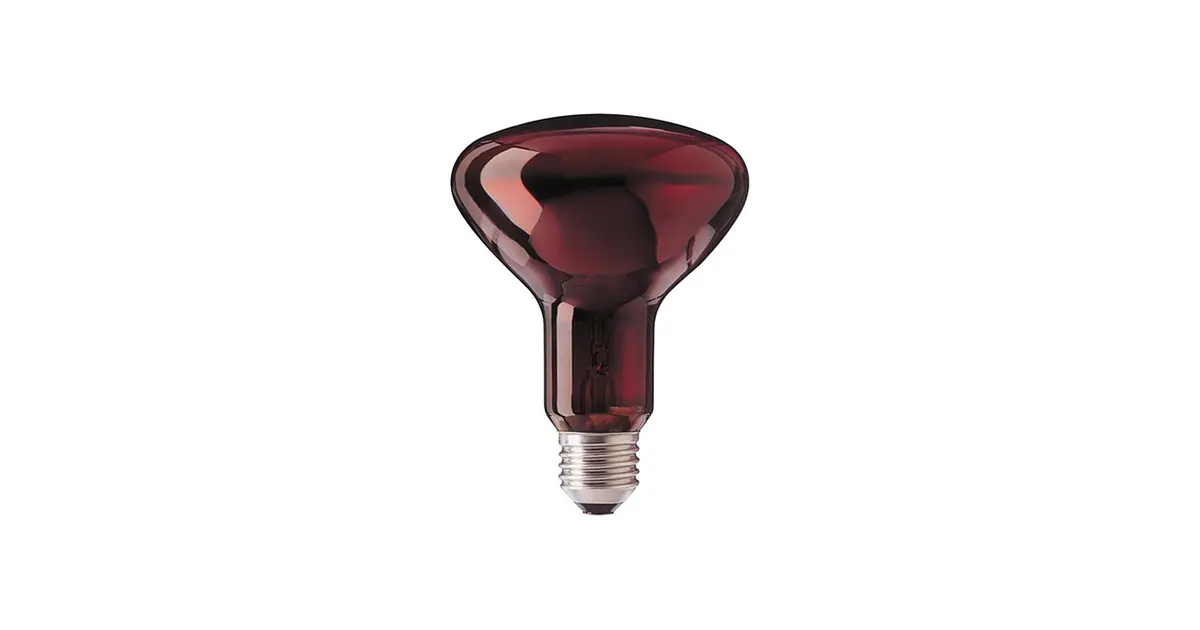 Bombilla Infrarrojo R95 100W E27 230V Red 1CT/25 Philips