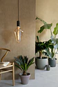 Lâmpada XXL Vienna Gold LED 6W E27 2200K Calex - Thumbnail 2