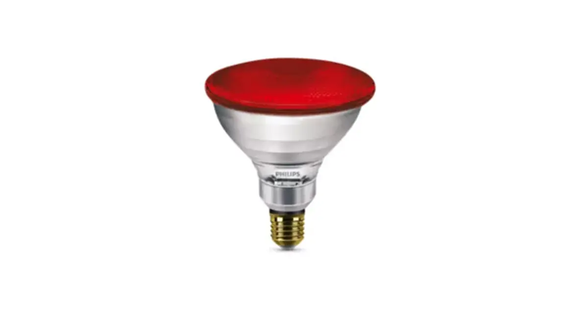 Bombilla Infrarrojo PAR38 175W E27 230V Red 1CT/12 Philips