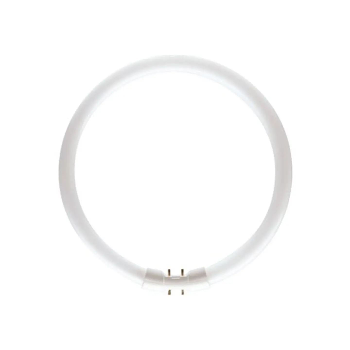 Lamp MASTER TL5 cicular 60W 840 1CT/10 Philips 1