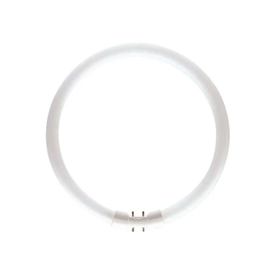 Lamp MASTER TL5 cicular 60W 840 1CT/10 Philips 1