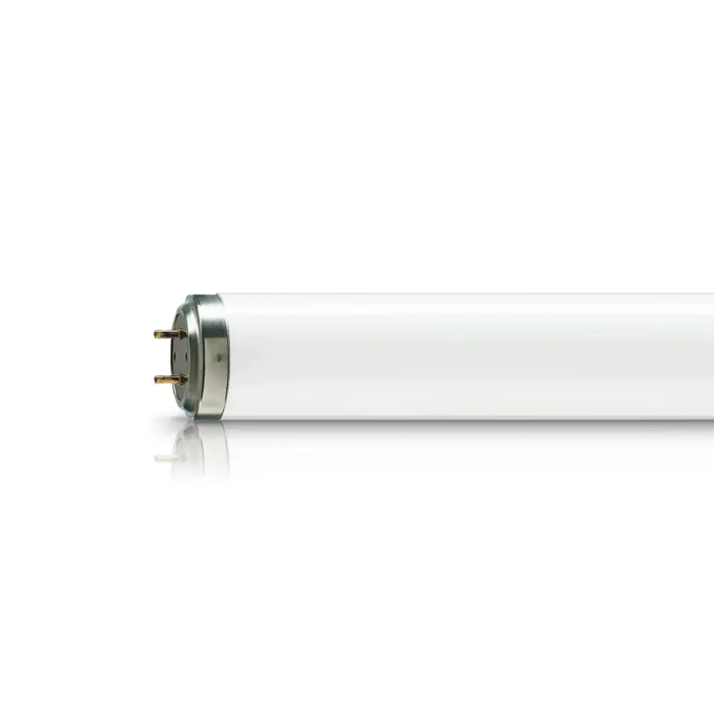 Bombilla anti-insectos Actinic BL TL 40W/10 1SL/25 Philips 1