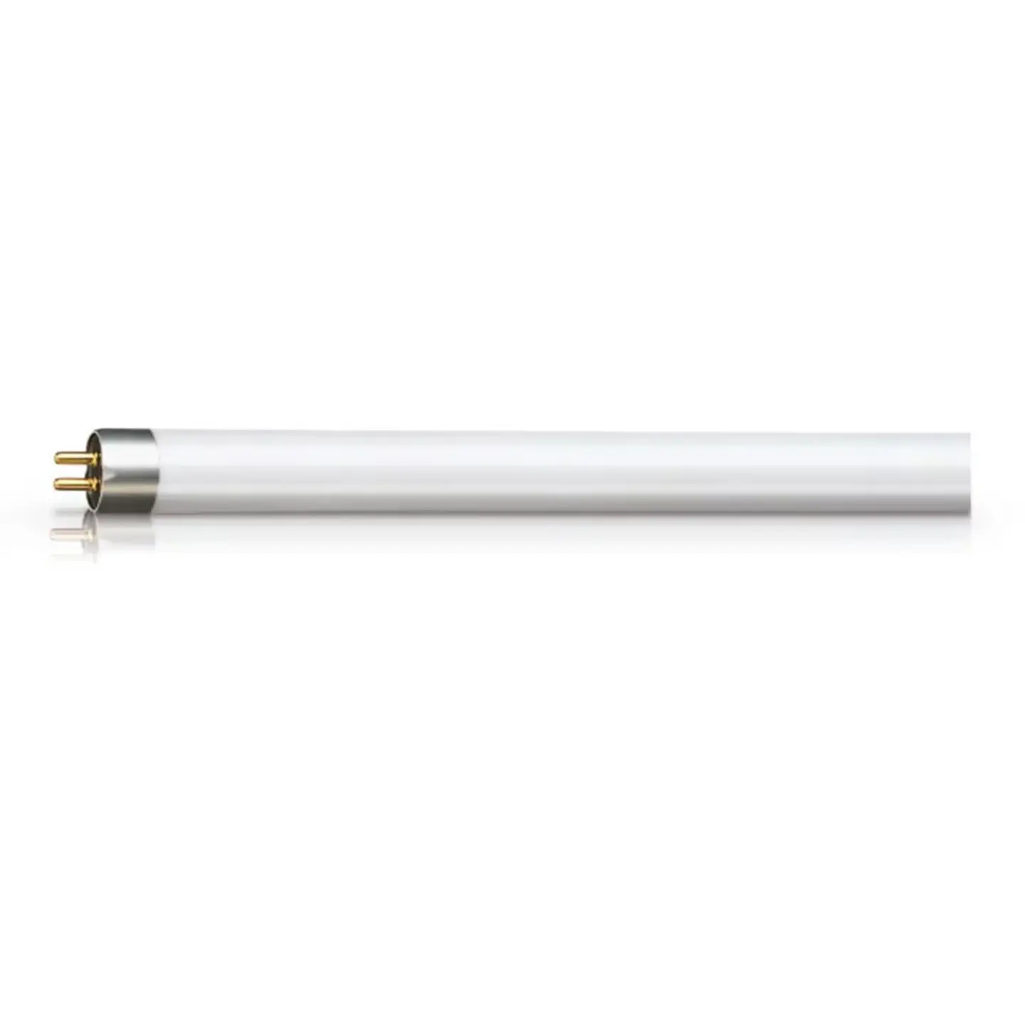Bombilla anti-insectos Actinic BL TL 8W/10 1FM/10X25CC Philips 1